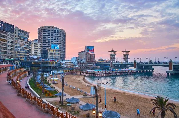 Tour Cairo & Alexandria by bus 